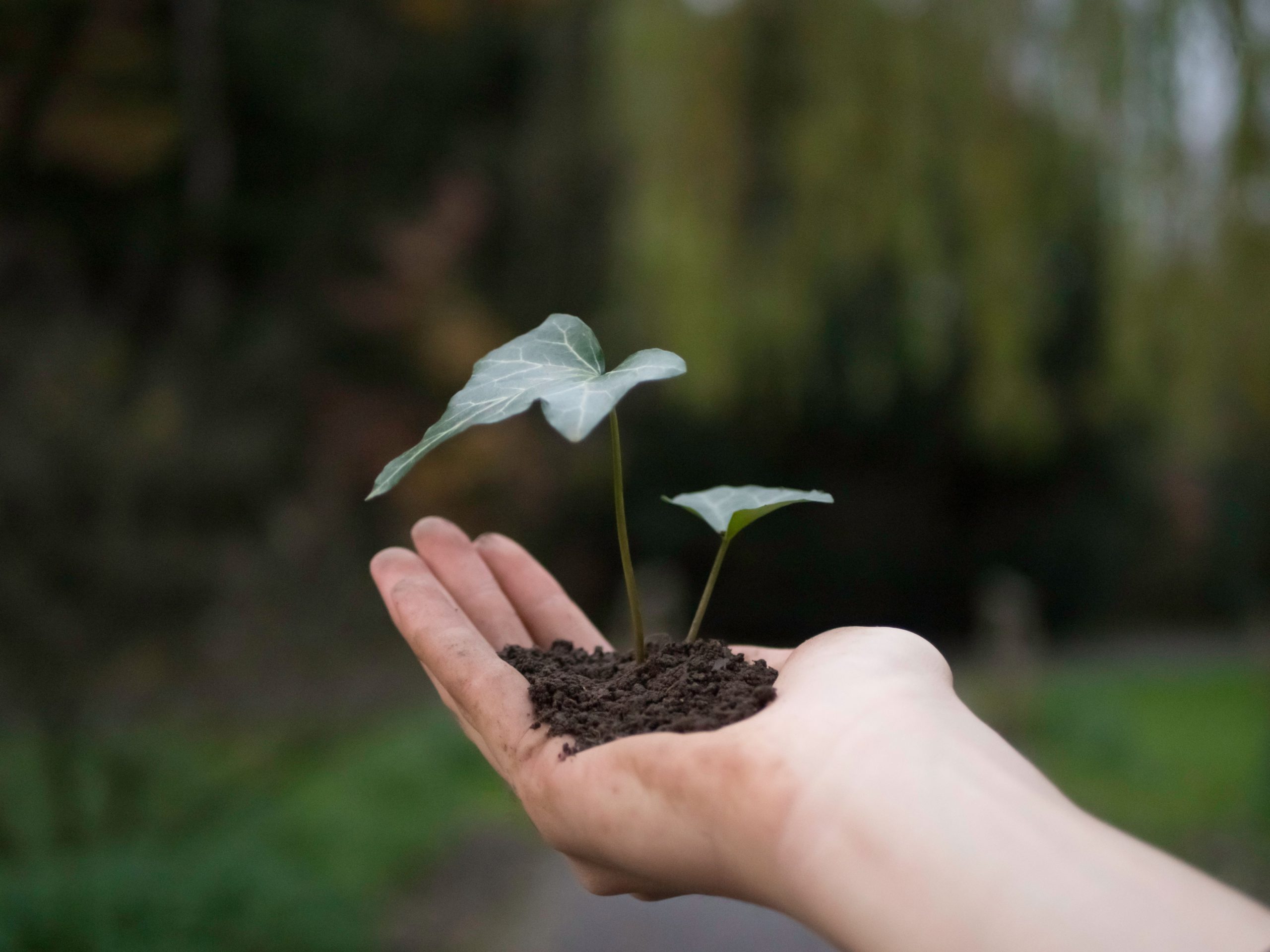Why Small Daily Changes Are Frequently The First Step Towards Personal Growth